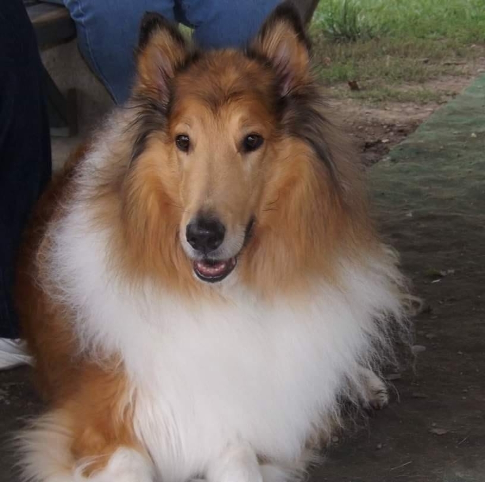 Meet your Posher, Faith